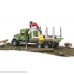 Bruder MACK Granite Timber Truck with Loading Crane and 3 Trunks B00GKWSH6G